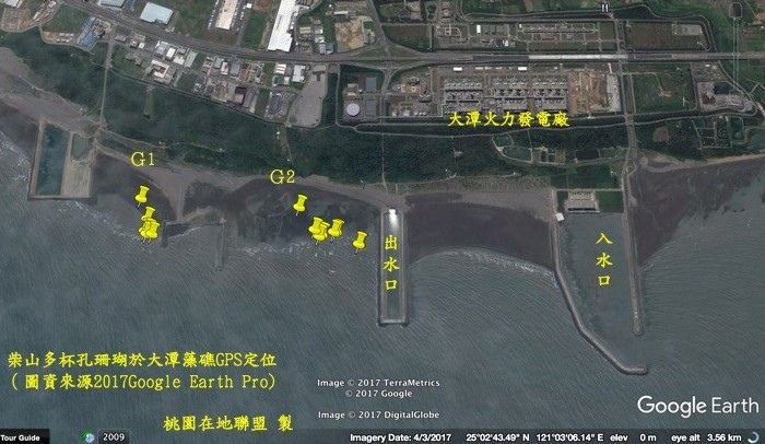 中油開發預定地G1、G2相對位置圖。圖源：桃園在地聯盟